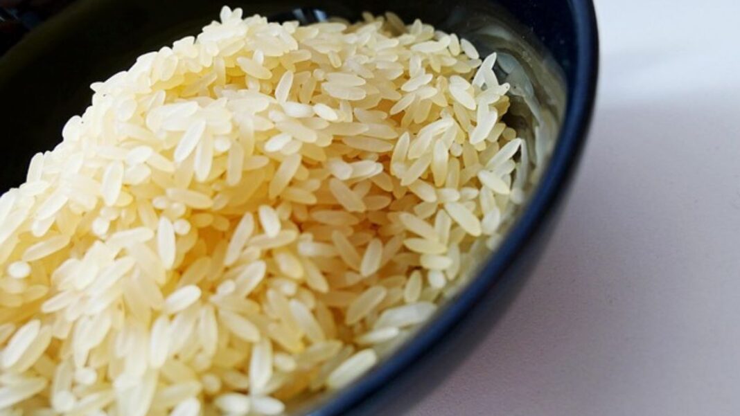 Prix du Riz au Cameroun