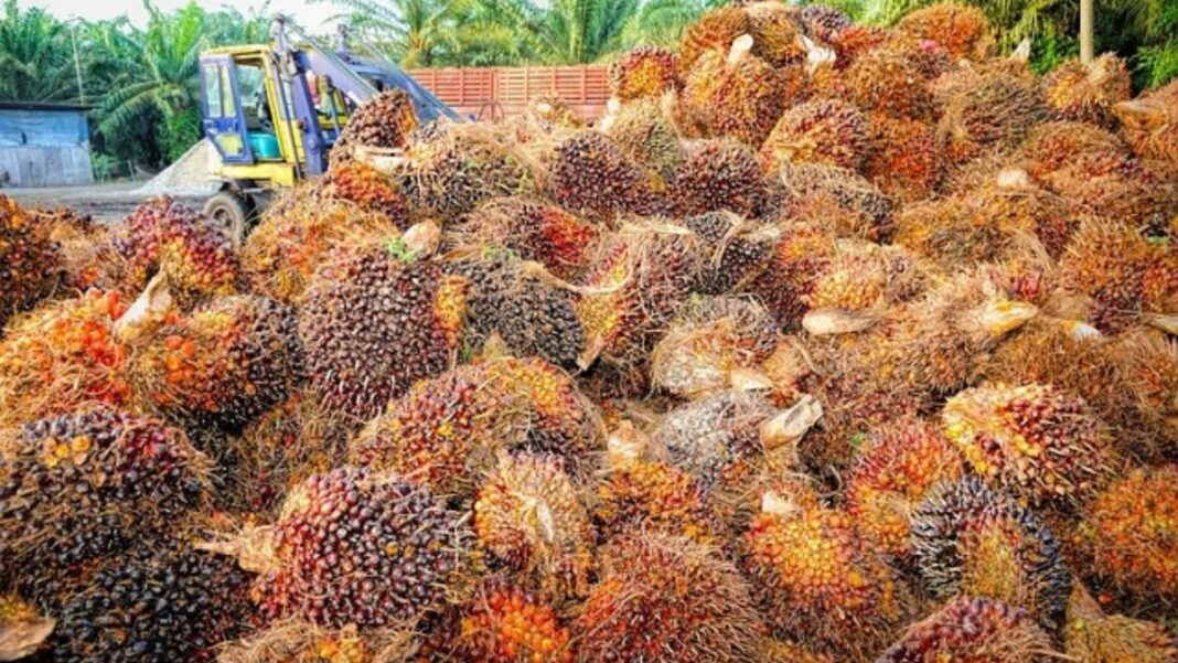 Prix de l'huile de table au Cameroun